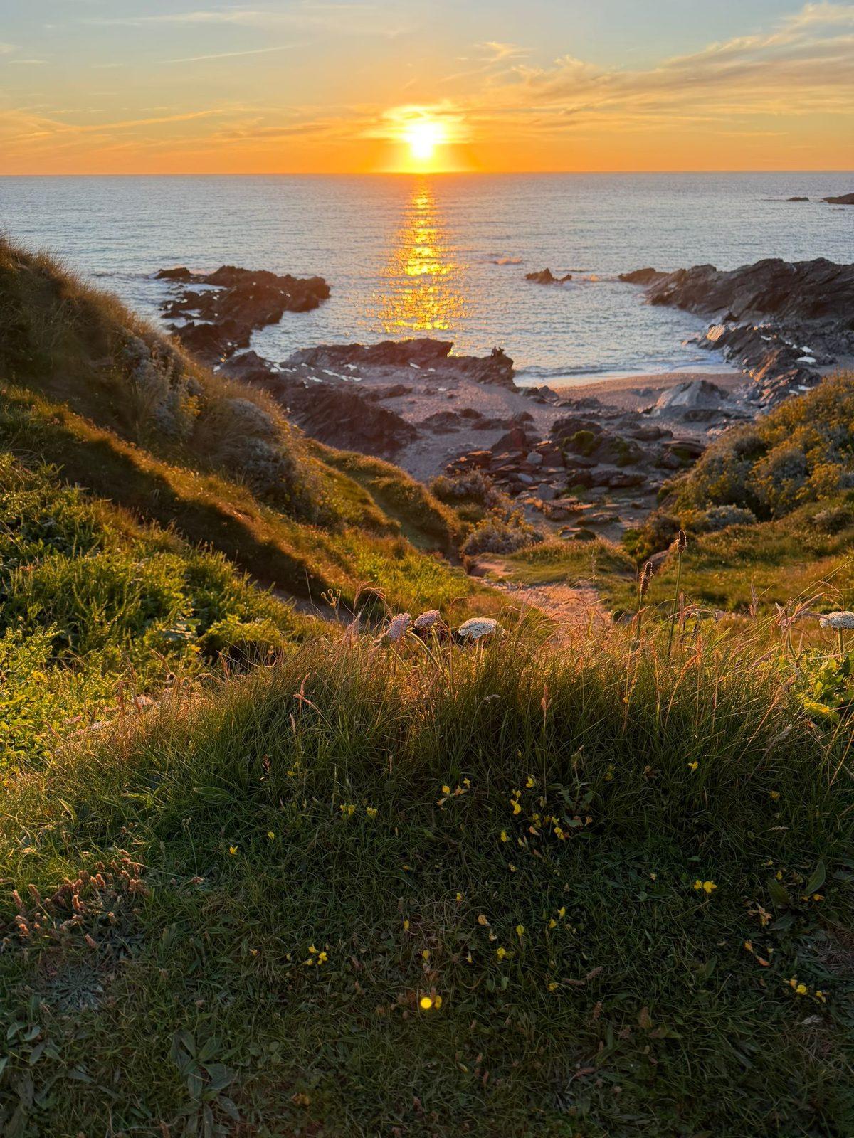 Sunset over a Cornish cove, seen through wildflowers